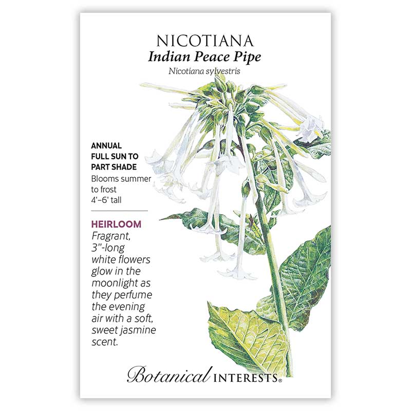 tobacco road rose Red Rose Tobacco tobacco road rose Red Rose Tobacco