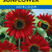 Red Sun Sunflower (Pkt)