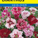 Gaiety Mix Dianthus (Pkt)