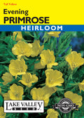 Evening Primrose Yellow (Pkt)