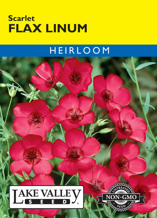 flax flower seeds Lake Valley Flax Linum Scarlet Seed