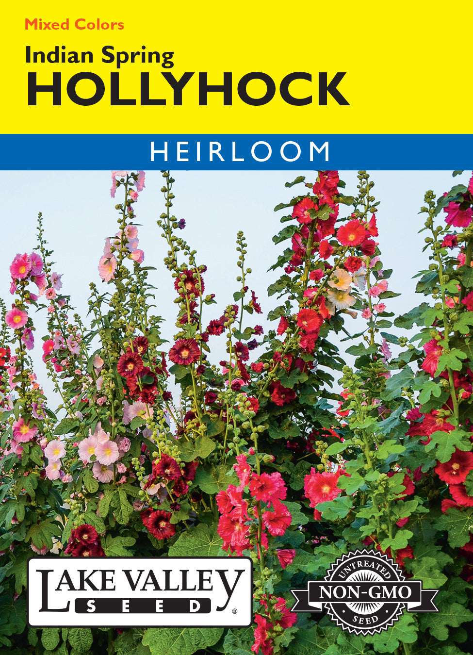 Indian Spring Mix Hollyhock — Rohrer Seeds