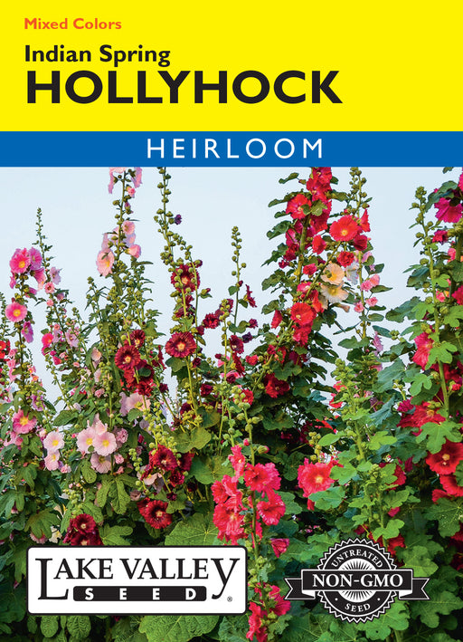 planting hollyhock seeds in spring Indian Spring Mix Hollyhock — Rohrer Seeds