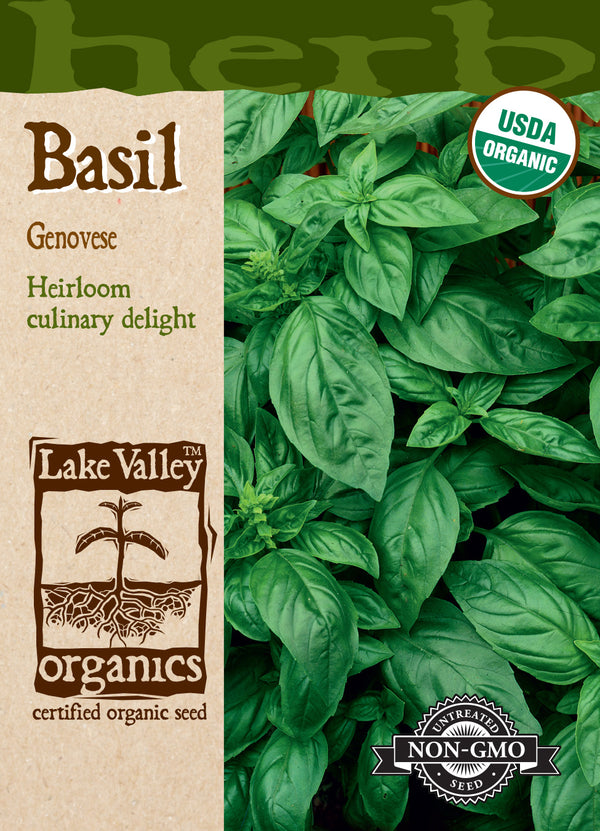 Organic Basil Sweet Genovese (Pkt)