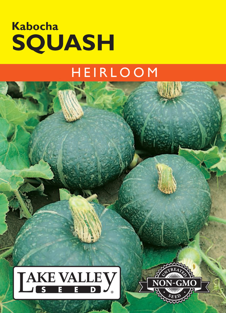 kabocha squash seeds for planting Lake Valley Seed 1913 Vegetable Seed, Kabocha Squash, Cucurbita Maxima
