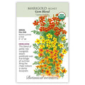 Marigold Signet Gem Blend (Pkt)