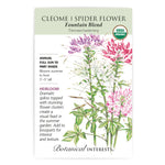 Cleome Fountain Blend
