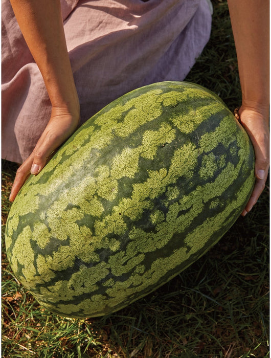Carolina Cross Watermelon
