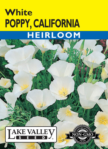 California White Poppy (Pkt)
