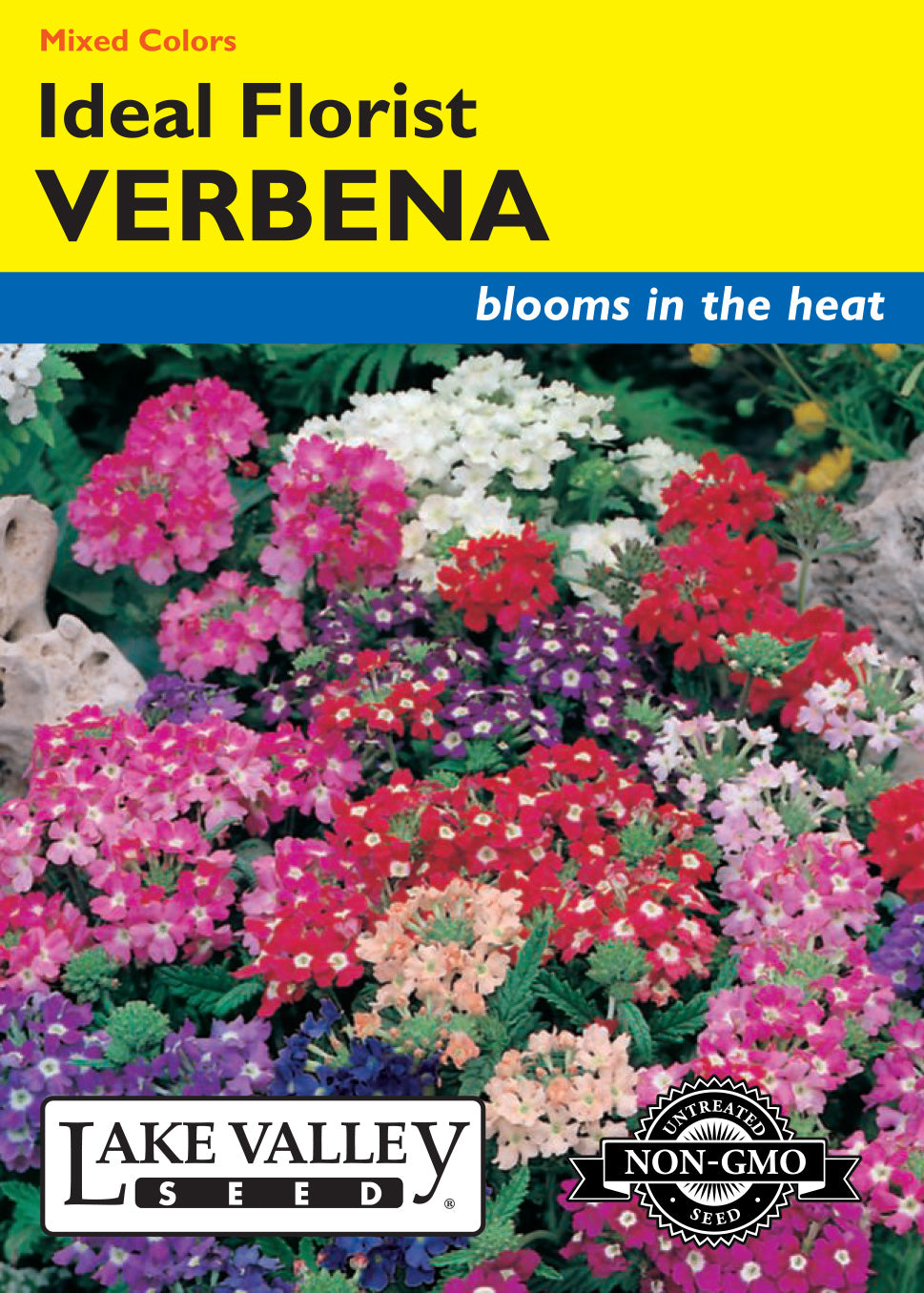 verbena flower seeds Lake Valley Verbena Ideal Florist Mixed Color Seed