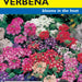 Ideal Florist Mix Verbena (Pkt)
