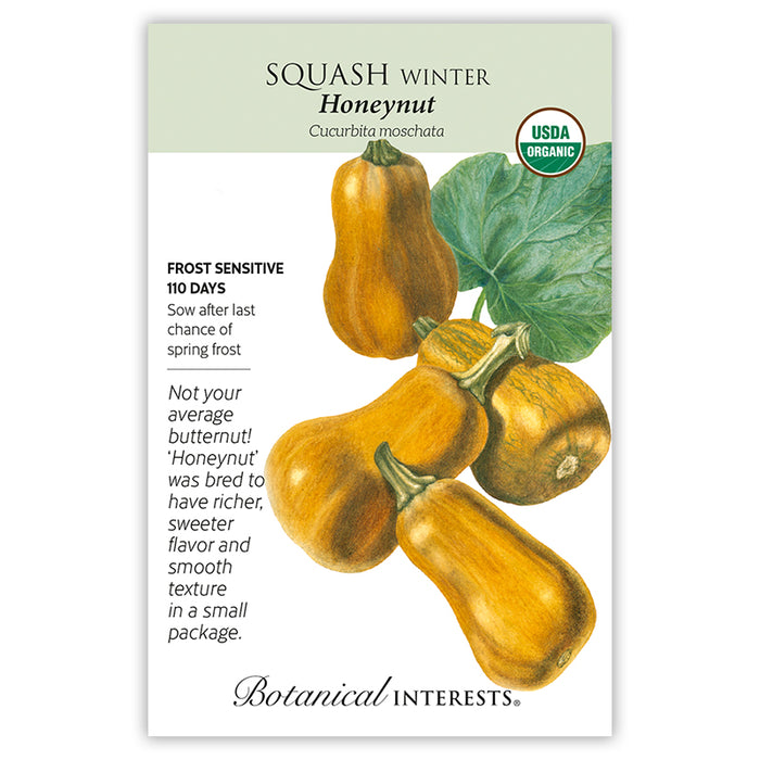 Honeynut Winter Squash