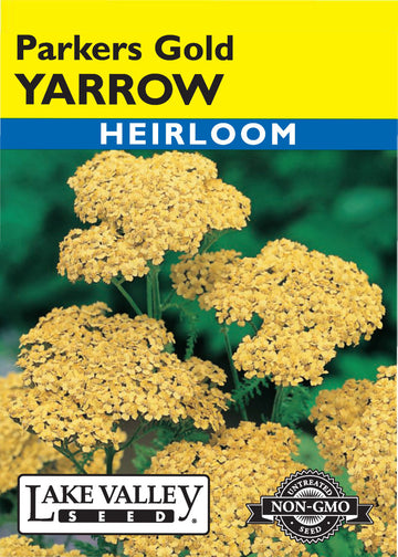 Parkers Gold Yarrow (Pkt)
