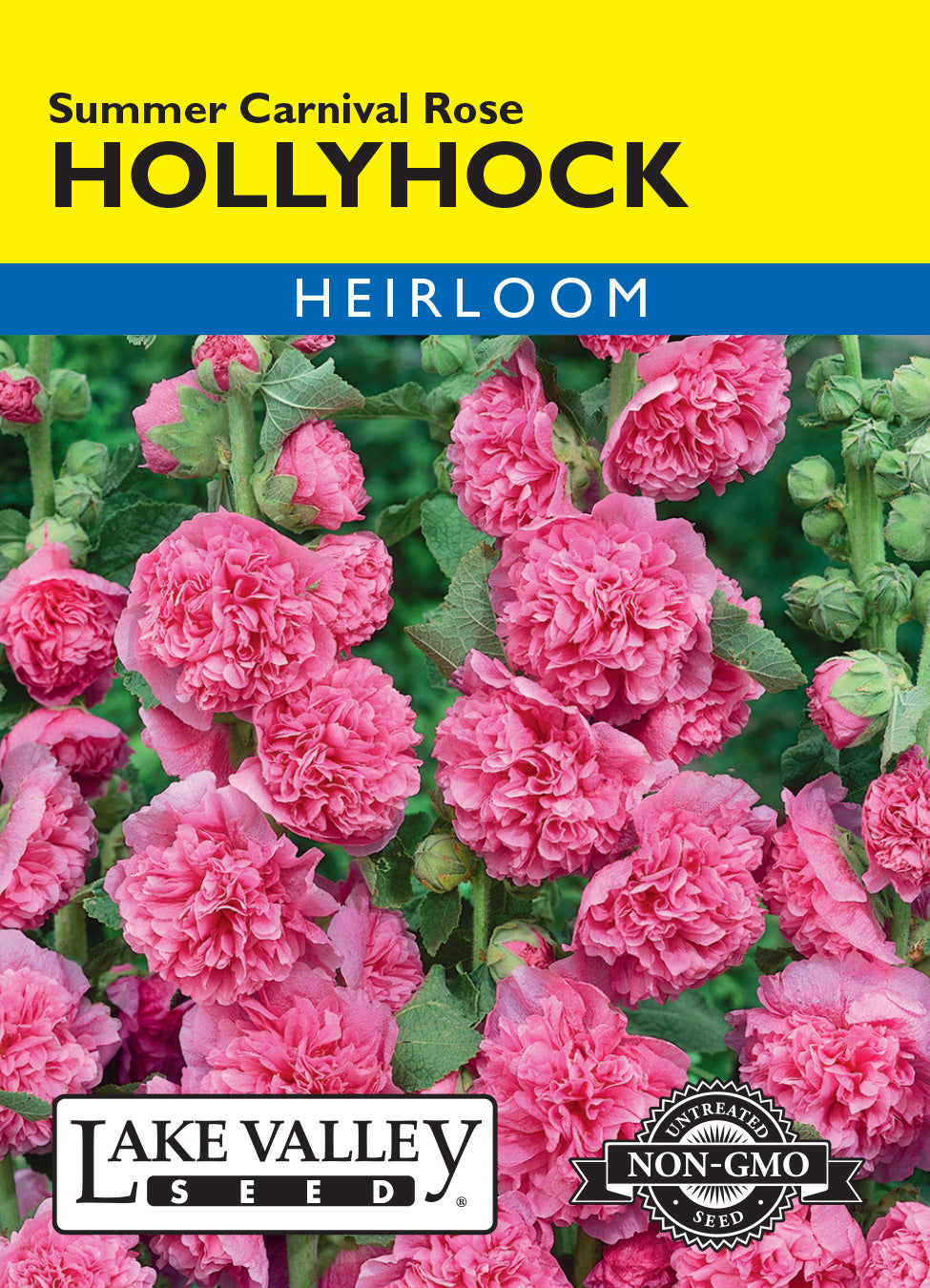 Summer Carnival Rose Hollyhock — Rohrer Seeds