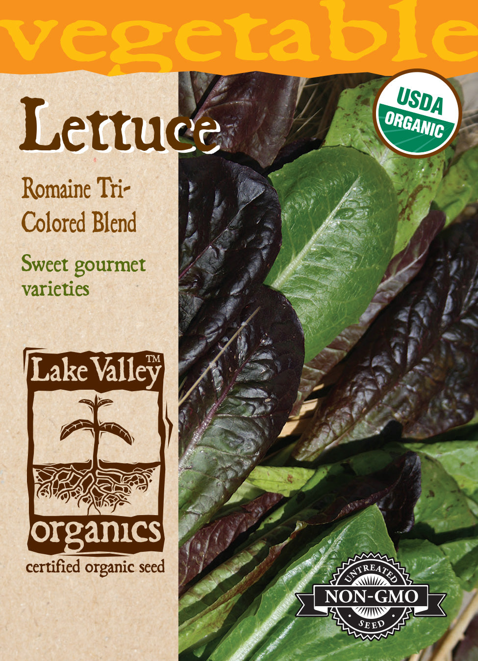 Lettuce - Romaine - Organic