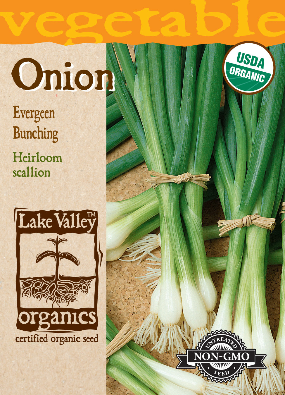 Onion Seed - Organic