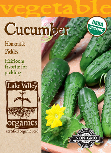 Silver Slicer Cucumber (Certified Organic)