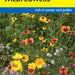 Honey Bee Pollinator Wildflower Mix