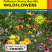 Wildflowers, Honey Bee Polinator Mix (Value Pack)