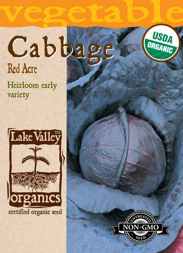 Organic Red Acre Cabbage (Pkt)