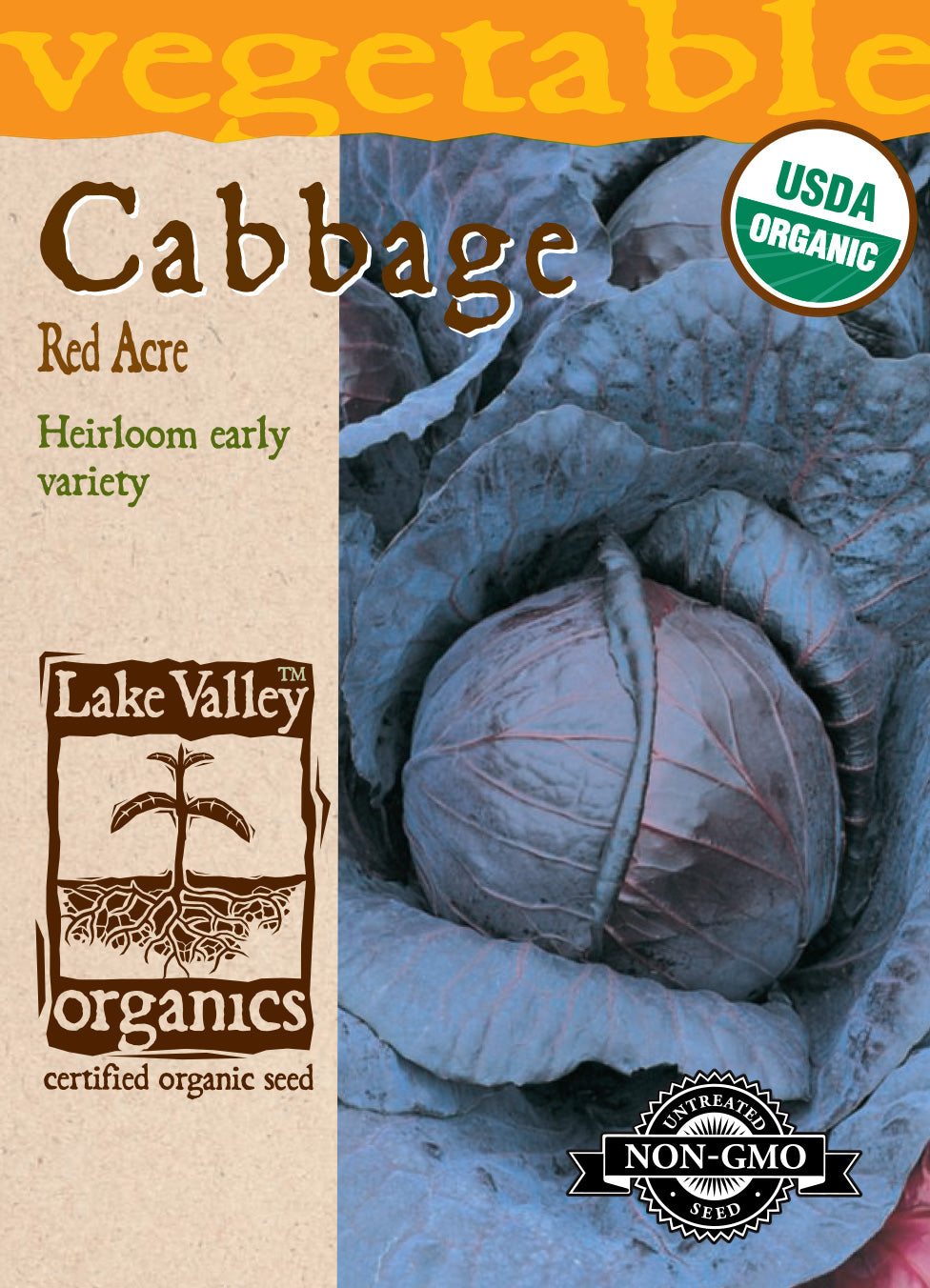 Cabbage - Organic