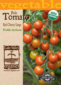 Organic Large Red Cherry (Pole) Tomato (Pkt)