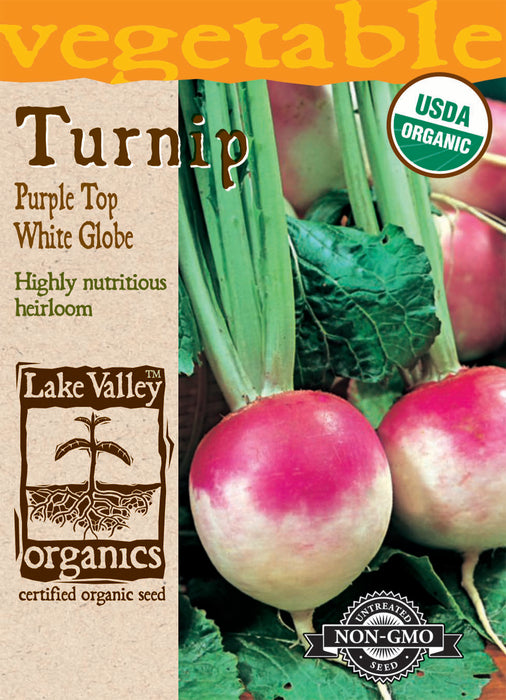 Organic Purple Top Turnip
