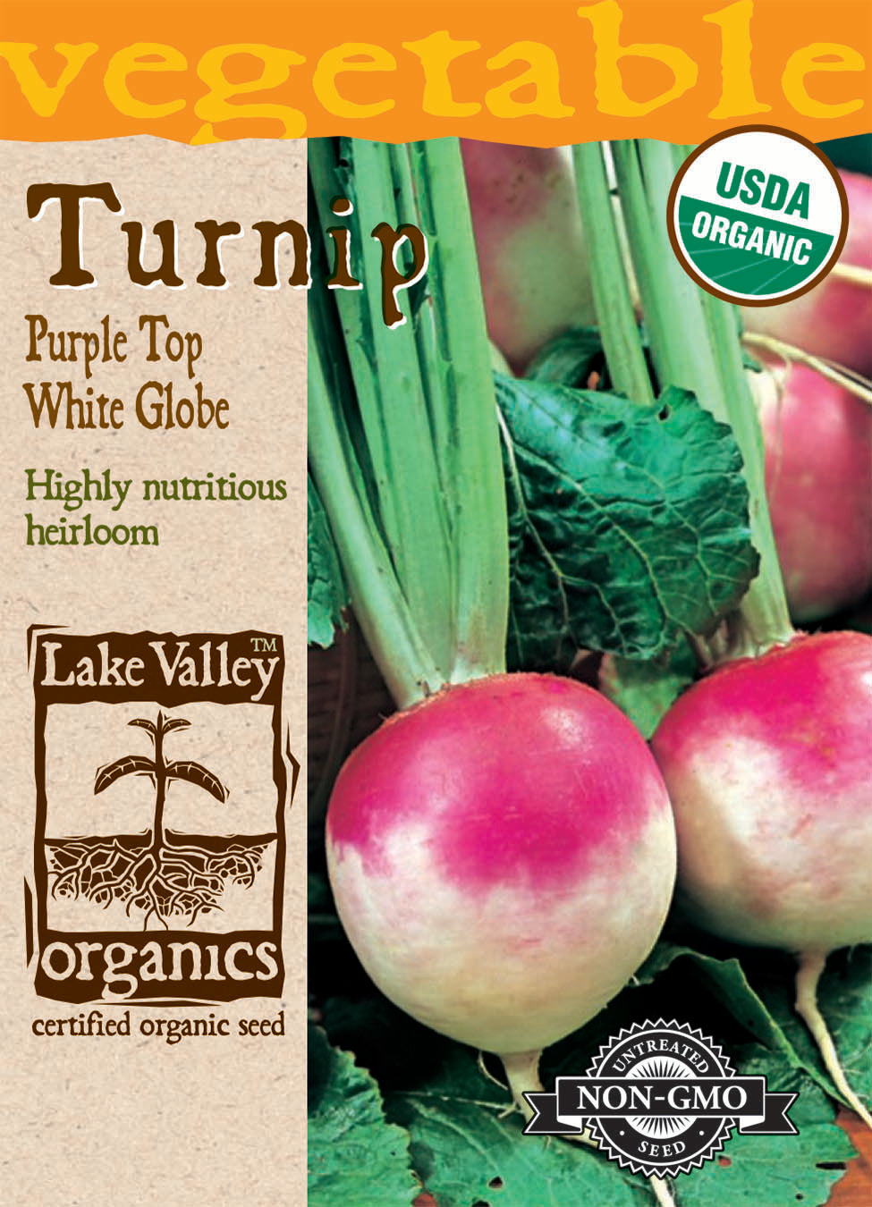 Turnip - Organic