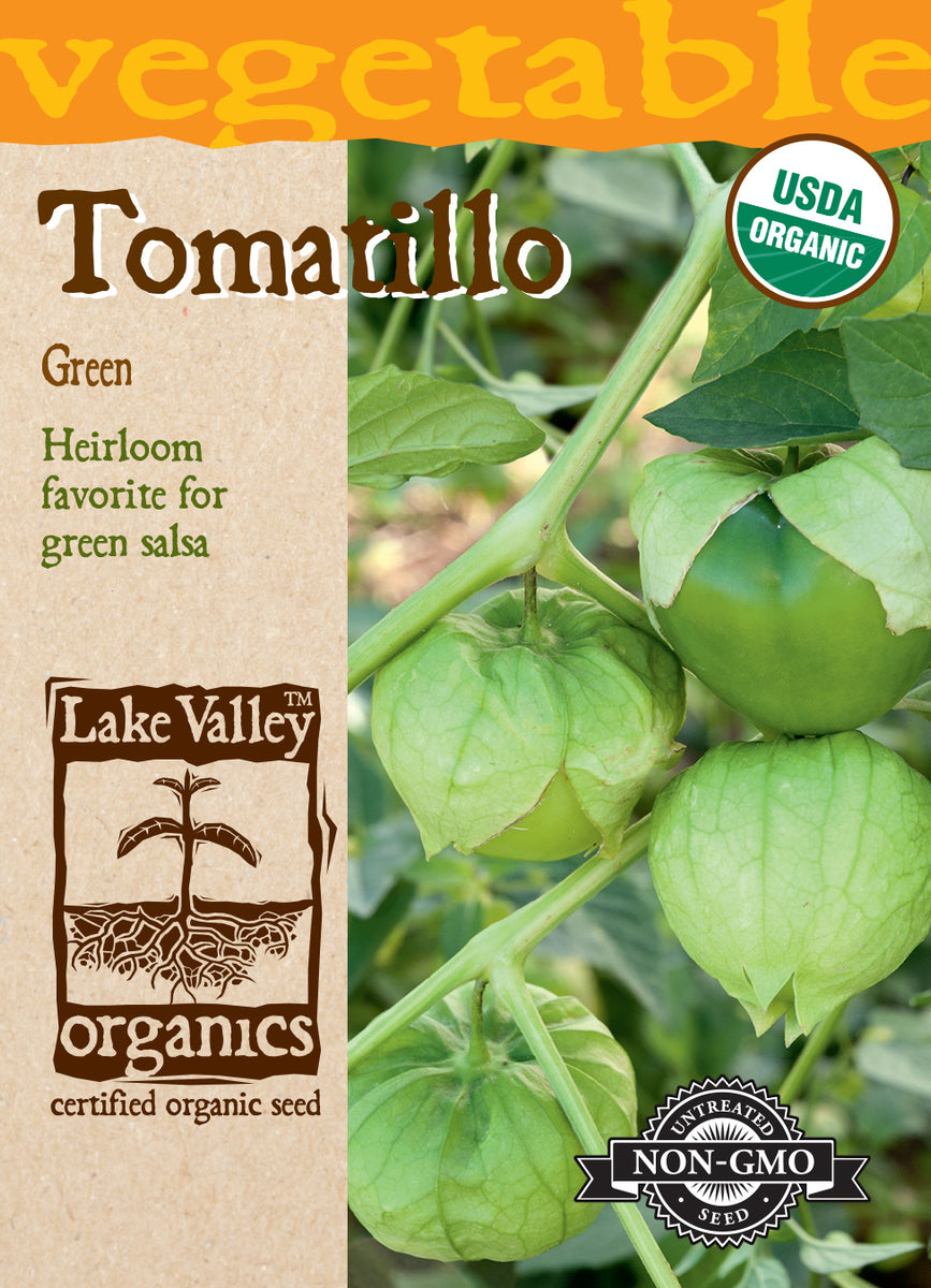 tomatillo plant seeds Lake Valley, Tomatillo, Green Organic