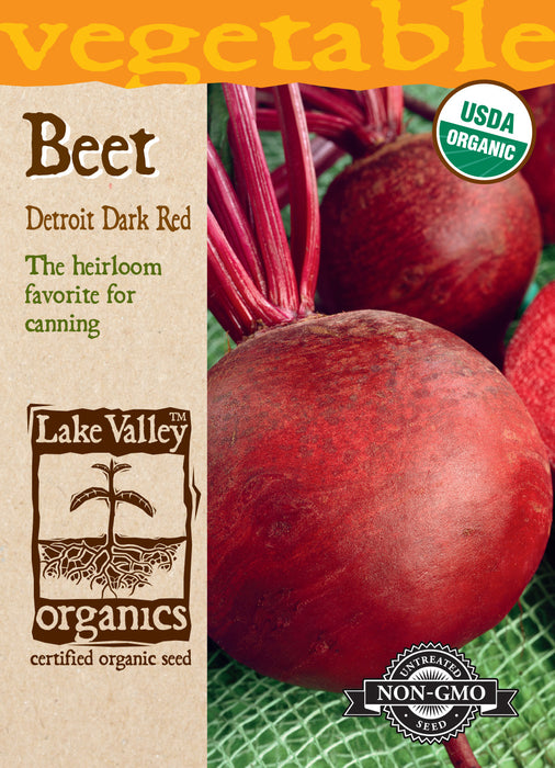 Organic Detroit Dark Red Beet