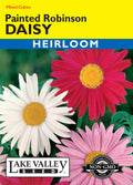 Robinson's Mixed Colors Painted Daisy (Pkt)
