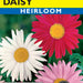 Robinson's Mixed Colors Painted Daisy (Pkt)