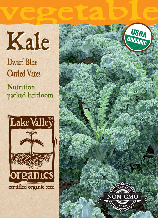 Organic Dwarf Blue Curled Kale