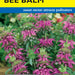 Bee Balm Lambada (Pkt)