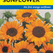 Sunflower Soraya Hybrid (Pkt)
