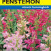 Penstemon Dwarf Cambridge Mix (Pkt)