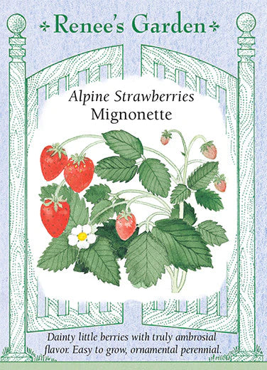 red alpine strawberry seeds Renee's Garden Strawberry Alpine Mignonette