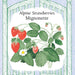 Alpine Mignonette Strawberry Seed