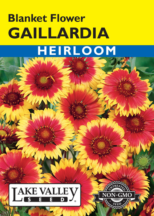 blanket flower seeds for sale Lake Valley, Gaillardia Blanket Flower
