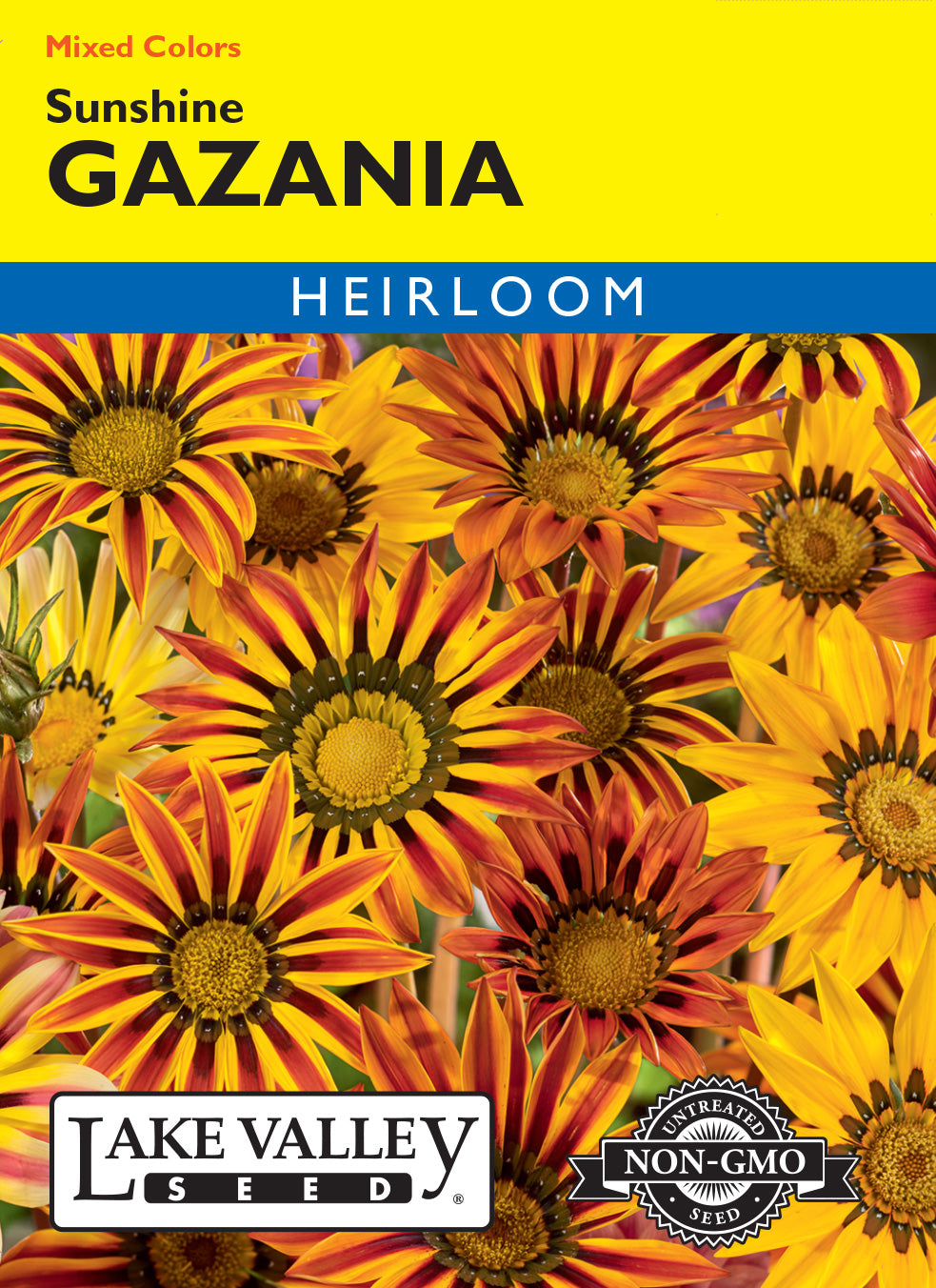 sunshine flower seeds Lake Valley, Gazania Sunshine, Mixed Colors