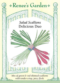 Delicious Duo Scallions Onion