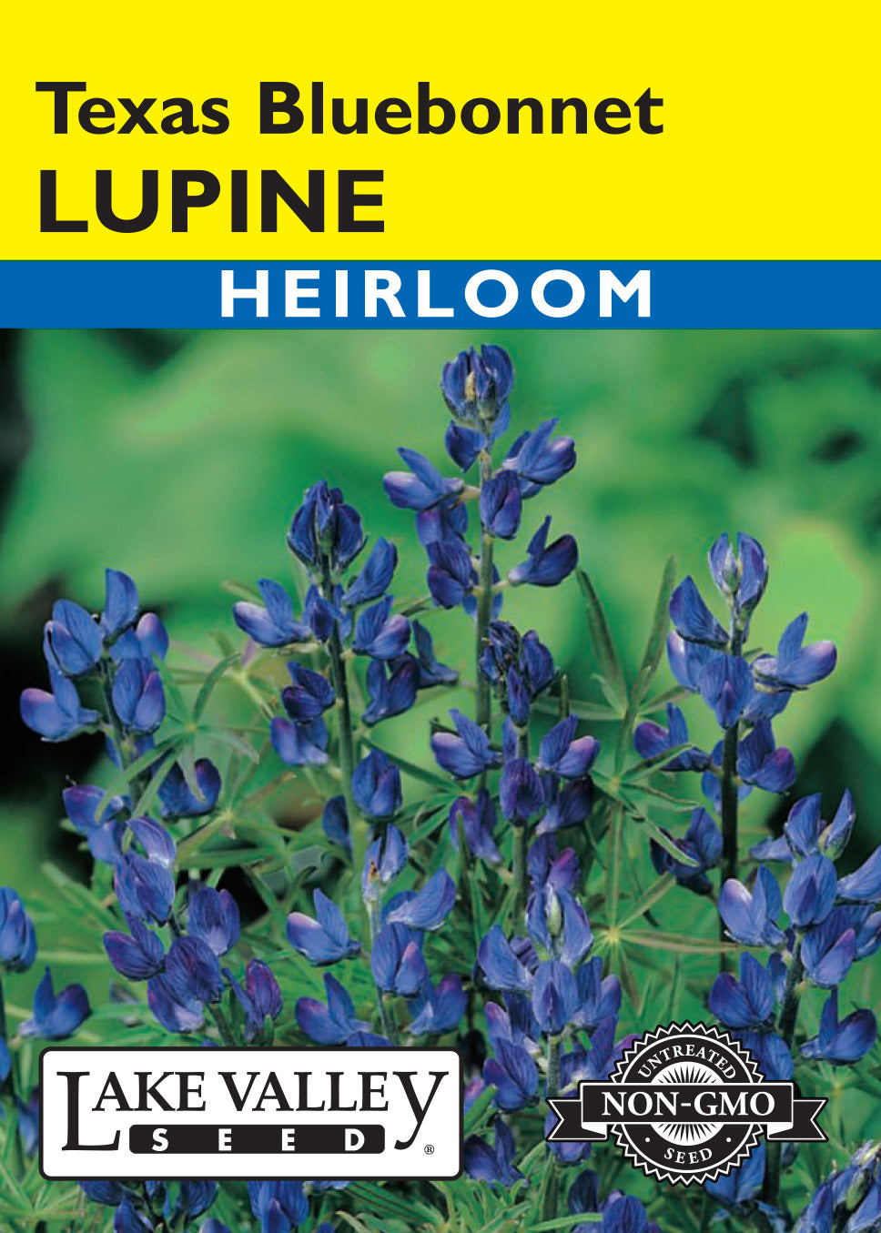 Texas Bluebonnet Lupine — Rohrer Seeds