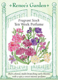 Stock Ten Week Perfume