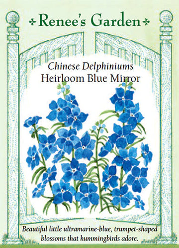 Blue Mirror Chinese Delphinium