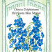 Blue Mirror Chinese Delphinium