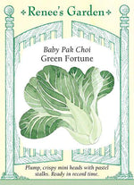 Pak Choi Green Fortune F1 Cabbage