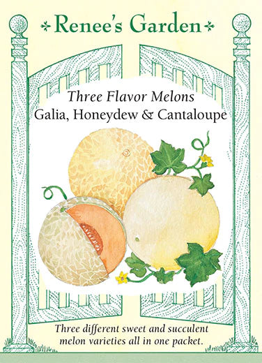 Three Flavor Mix Melon