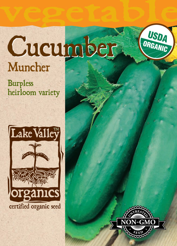 Organic Muncher Cucumber (Pkt)