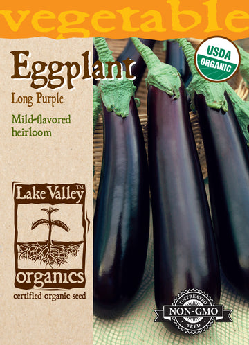Turkish Eggplant heirloom/op Seeds: Scarlet Eggplant Seeds 