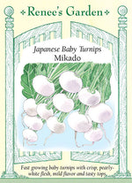 Mikado Baby Turnip